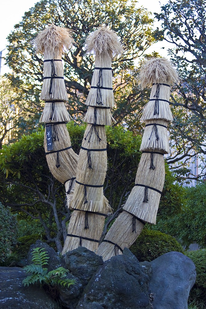 shobuen-covered-tree